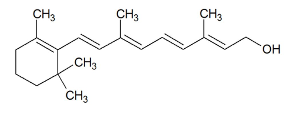 Vitamine: Ein umfas­sender Guide
